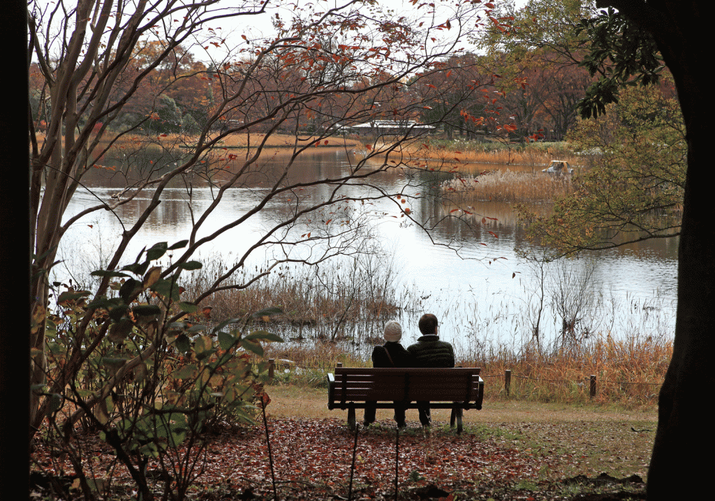昭和記念公園を歩く～秋の紅葉シーズン～