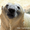 動物園を訪問する in 日本平動物園 　【前編】