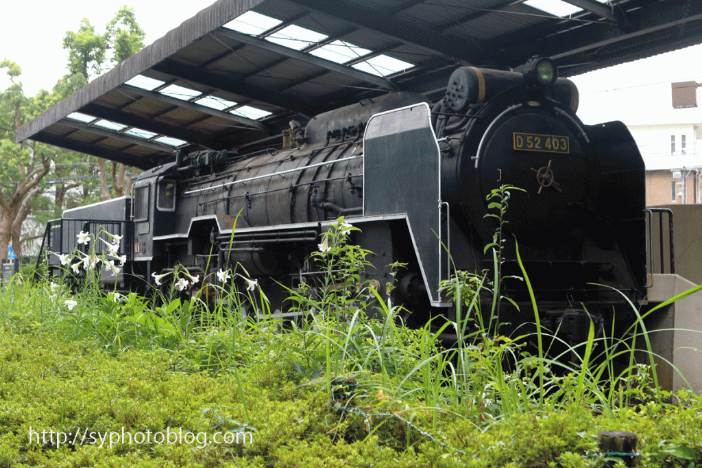 蒸気機関車を訪ねる【平塚市文化センター公園のD52 403号機】