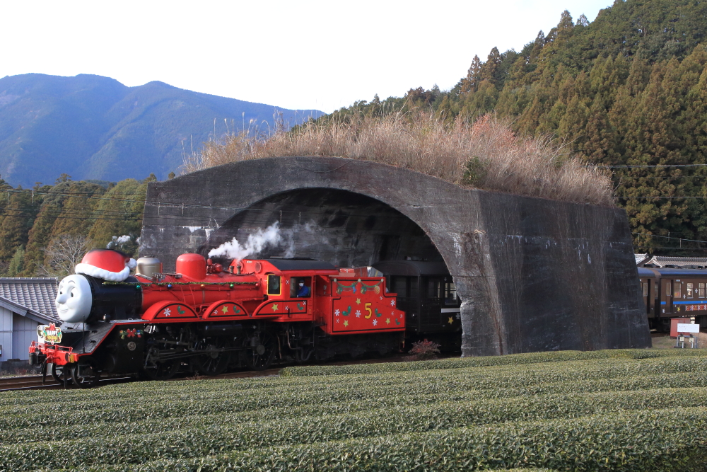 大井川鐵道のトーマス列車を撮影する【クリスマス特別運転・後編】