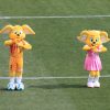 【2018年】サッカーＪ１リーグの後半戦はどうなる！？残留の勝点を予想する