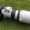 ついに100記事を突破！フォトブログの更新を続けて分かったことを報告します