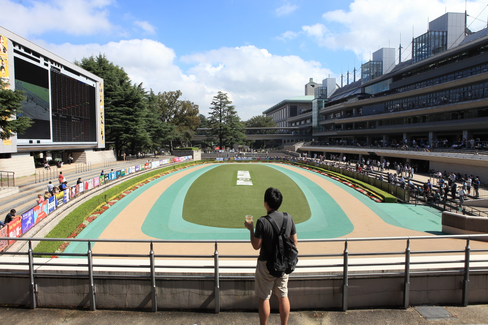 東京競馬場で競走馬の撮影に挑戦してみた パドック編 地下馬道とウィナーズサークルも