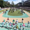 東京競馬場で競走馬の撮影に挑戦してみた【パドック編】地下馬道とウィナーズサークルも･･･