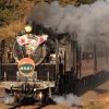 【C11 325号機】真岡鐵道で平成最後のＳＬ新年号を撮影する