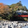 大井川鐵道のＳＬ撮影スポットと言えばココ！！初めての訪問でオススメしたい撮影地３選