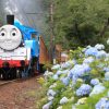【2019年】大井川鐵道にトーマス号が帰ってきた！！早速、撮影に出かけたよ