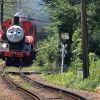 田野口駅のＳ字カーブでジェームス号を撮影する！！【真夏の大井川鐵道】